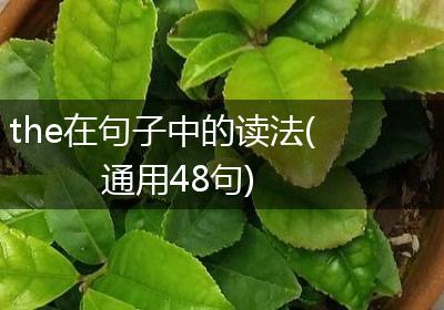 the在句子中的读法(通用48句)