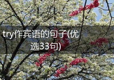 try作宾语的句子(优选33句)