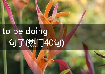 to be doing 句子(热门40句)
