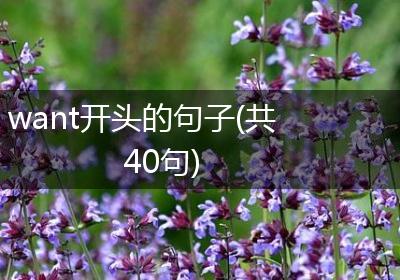 want开头的句子(共40句)
