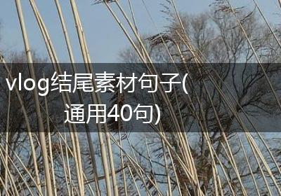 vlog结尾素材句子(通用40句)