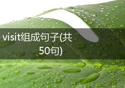 visit组成句子(共50句)