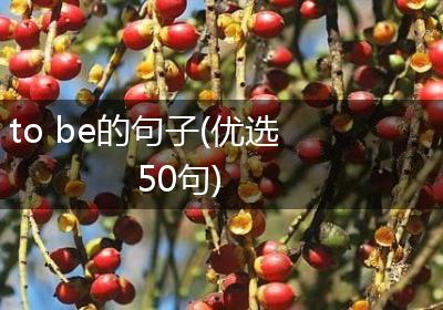 to be的句子(优选50句)