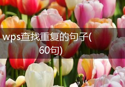 wps查找重复的句子(60句)