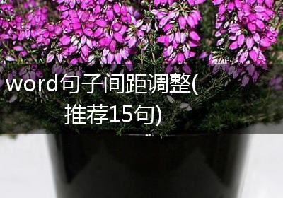 word句子间距调整(推荐15句)