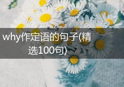 why作定语的句子(精选100句)