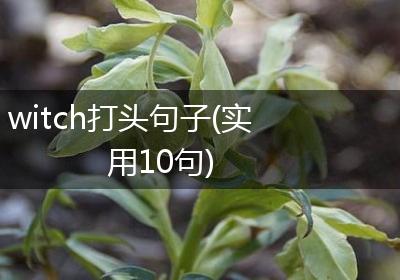 witch打头句子(实用10句)