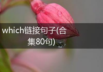 which链接句子(合集80句)