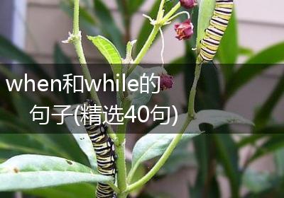 when和while的句子(精选40句)
