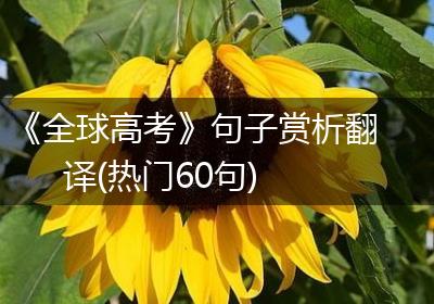 《全球高考》句子赏析翻译(热门60句)