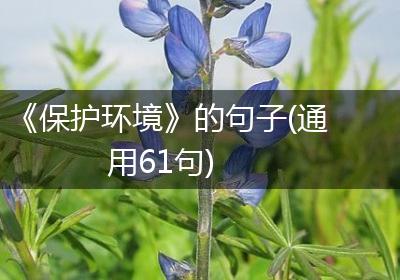 《保护环境》的句子(通用61句)