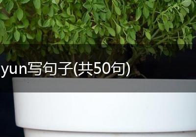 yun写句子(共50句)