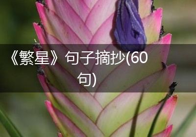 《繁星》句子摘抄(60句)