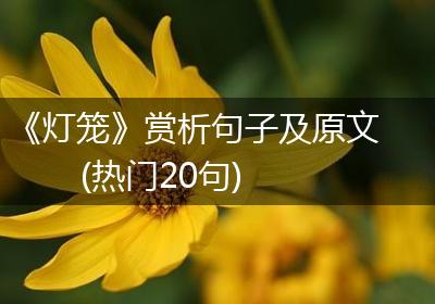 《灯笼》赏析句子及原文(热门20句)