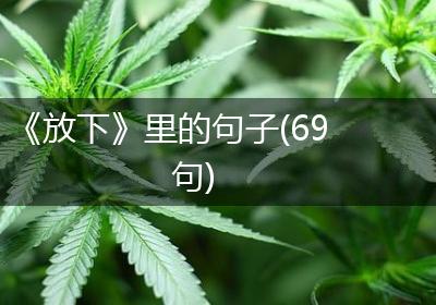 《放下》里的句子(69句)