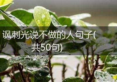 讽刺光说不做的人句子(共50句)
