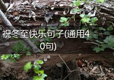 祝冬至快乐句子(通用40句)