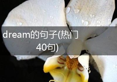 dream的句子(热门40句)
