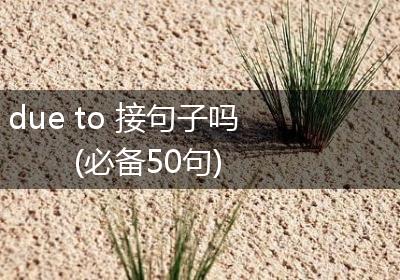 due to 接句子吗(必备50句)