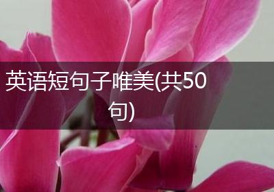 英语短句子唯美(共50句)