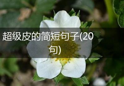 超级皮的简短句子(20句)