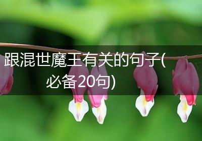 跟混世魔王有关的句子(必备20句)