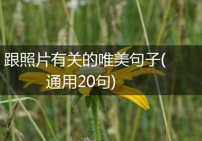 跟照片有关的唯美句子(通用20句)