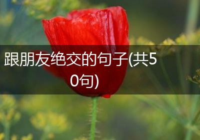 跟朋友绝交的句子(共50句)