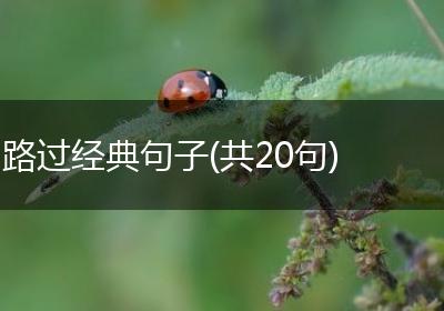 路过经典句子(共20句)