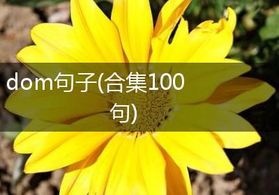 dom句子(合集100句)