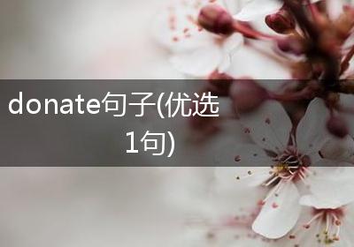 donate句子(优选1句)