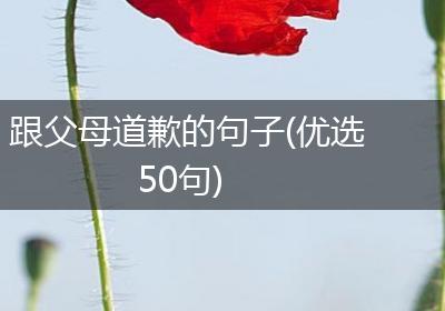 跟父母道歉的句子(优选50句)