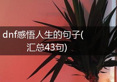 dnf感悟人生的句子(汇总43句)
