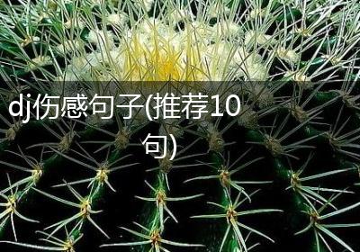 dj伤感句子(推荐10句)
