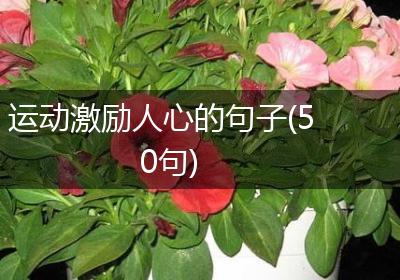 运动激励人心的句子(50句)
