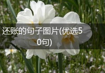 还账的句子图片(优选50句)