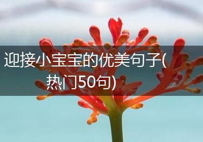 迎接小宝宝的优美句子(热门50句)