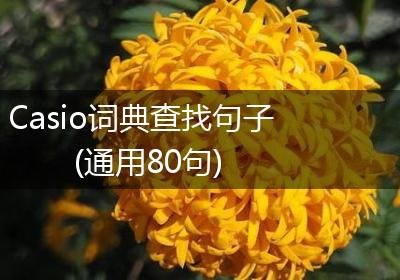 Casio词典查找句子(通用80句)