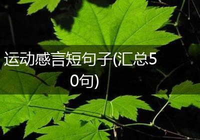 运动感言短句子(汇总50句)