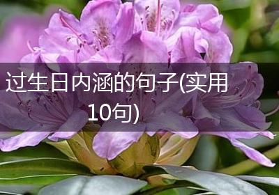 过生日内涵的句子(实用10句)