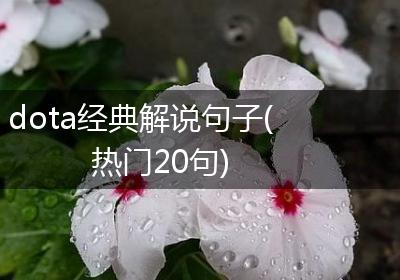 dota经典解说句子(热门20句)