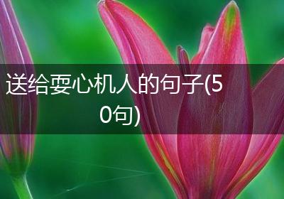 送给耍心机人的句子(50句)