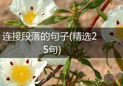 连接段落的句子(精选25句)