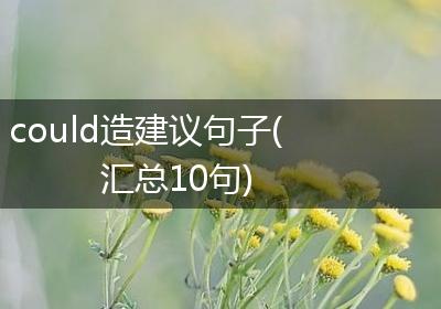 could造建议句子(汇总10句)