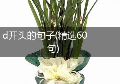 d开头的句子(精选60句)