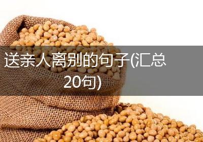送亲人离别的句子(汇总20句)