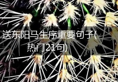 送东阳马生序重要句子(热门21句)