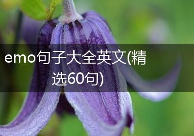 emo句子大全英文(精选60句)