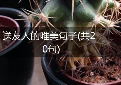 送友人的唯美句子(共20句)