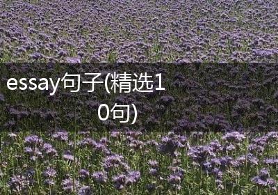 essay句子(精选10句)